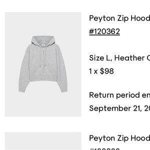 Aritzia Peyton Zip Hoodie - grey